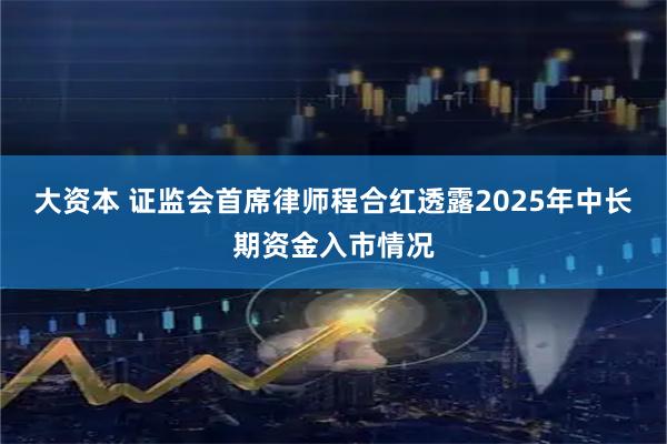 大资本 证监会首席律师程合红透露2025年中长期资金入市情况