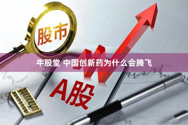 牛股堂 中国创新药为什么会腾飞